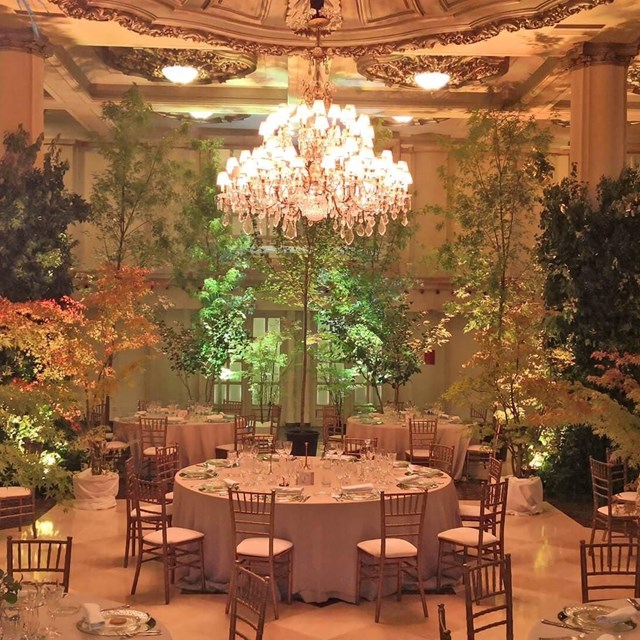 Producción audiovisual y alquiler de equipos de sonido 